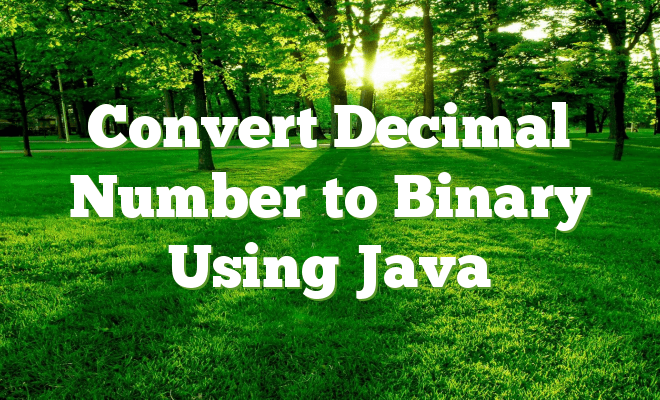 Convert Decimal Number to Binary Using Java